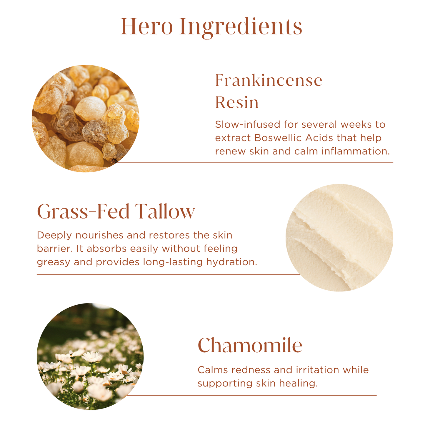 Tallow Face Balm - Frankincense Resin Infused