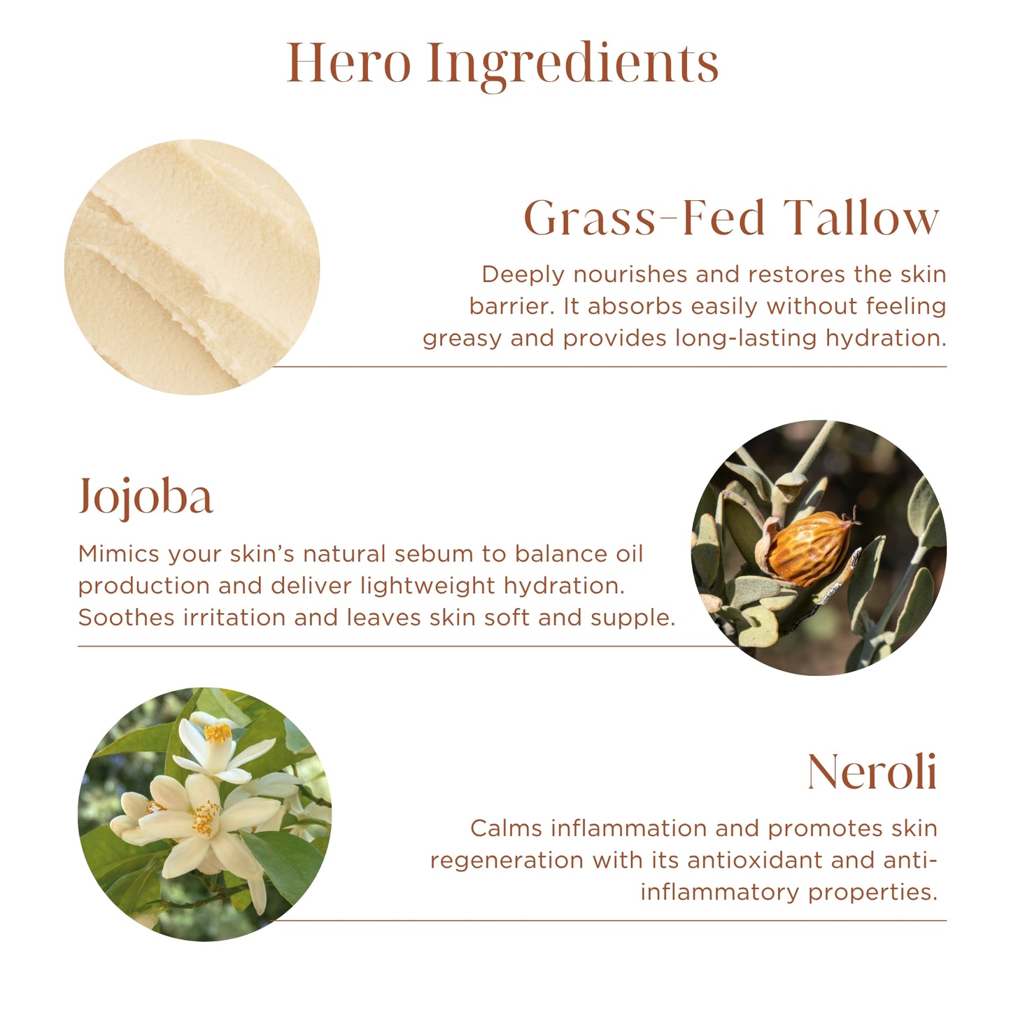 Whipped Tallow Body Butter